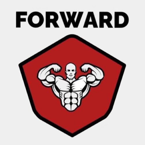 Логотип организации NFS Armwrestling League